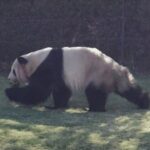 Thumbnail of related posts 124