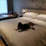 Thumbnail of post image 168