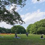 Thumbnail of related posts 183