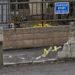 Thumbnail of related posts 095