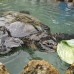 Thumbnail of related posts 126