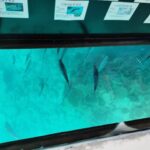 Thumbnail of related posts 041