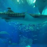 Thumbnail of related posts 146