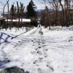 Thumbnail of related posts 007