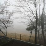 Thumbnail of post image 150