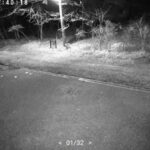 Thumbnail of post image 127