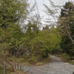 Thumbnail of related posts 171