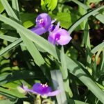 Thumbnail of related posts 123