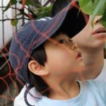 Thumbnail of related posts 035