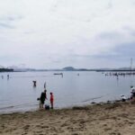 Thumbnail of related posts 198