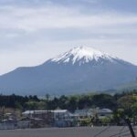 Thumbnail of related posts 169