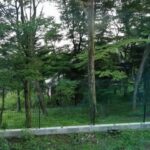 Thumbnail of related posts 034