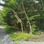 Thumbnail of related posts 145