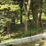 Thumbnail of related posts 199