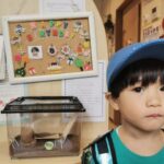 Thumbnail of related posts 013