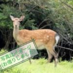 Thumbnail of related posts 199