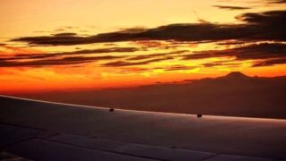 Thumbnail of post image 135