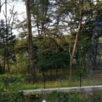 Thumbnail of related posts 067