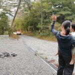 Thumbnail of related posts 053