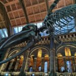 Thumbnail of related posts 029