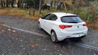 Thumbnail of post image 187