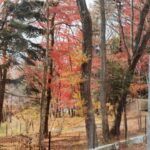 Thumbnail of related posts 014