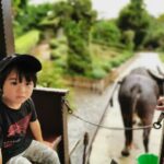 Thumbnail of related posts 037