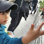 Thumbnail of related posts 073