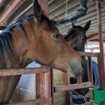 Thumbnail of related posts 169