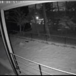 Thumbnail of related posts 098