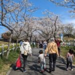 Thumbnail of related posts 187