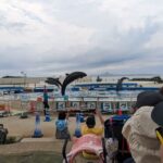 Thumbnail of related posts 007