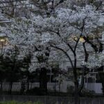 Thumbnail of related posts 003