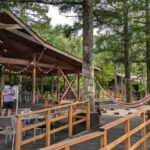 Thumbnail of post image 019