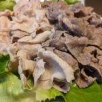 Thumbnail of related posts 198