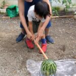 Thumbnail of related posts 146