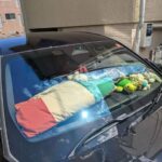 Thumbnail of related posts 066