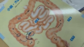 Thumbnail of post image 186