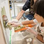 Thumbnail of related posts 193