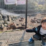 Thumbnail of related posts 017