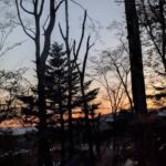 Thumbnail of related posts 115