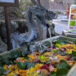 Thumbnail of related posts 173