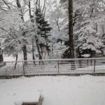 Thumbnail of post image 041