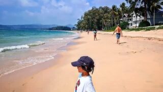 Thumbnail of post image 184