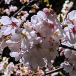 Thumbnail of related posts 140