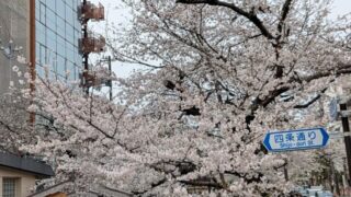 Thumbnail of post image 184