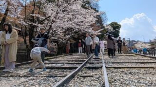 Thumbnail of post image 114