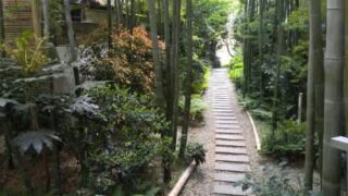 Thumbnail of post image 179