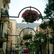 Thumbnail of post image 036