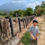 Thumbnail of related posts 077